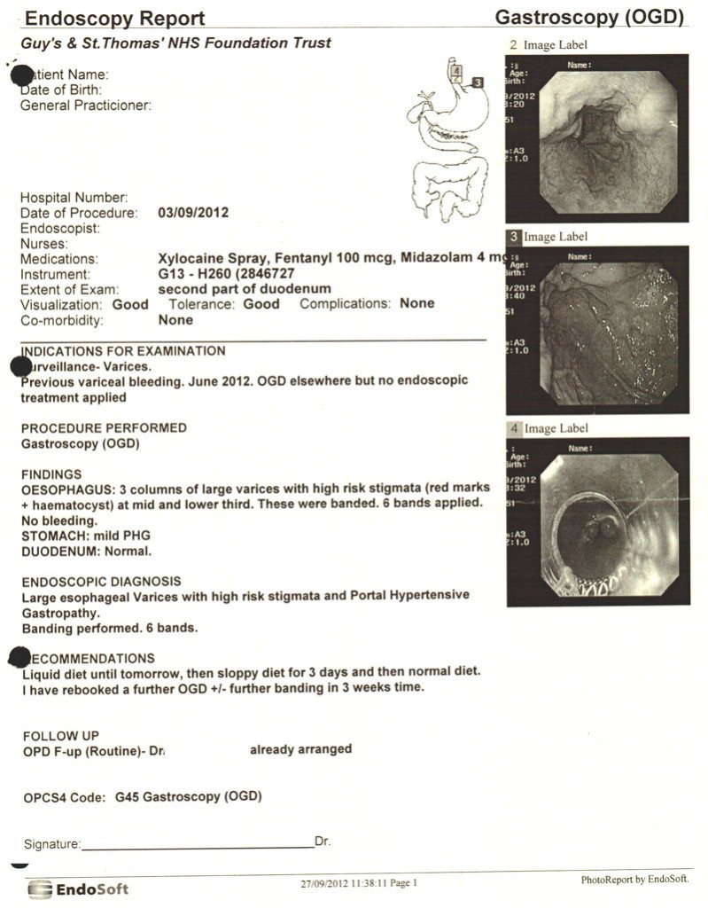 Gastroscopy OGD report - 3rd September 2012