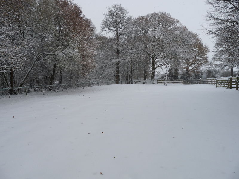 The snow was getting thicker