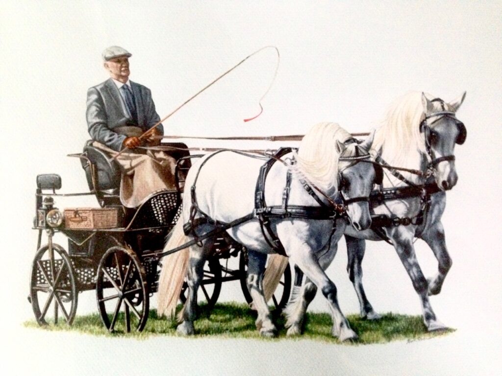 Watercolour - Terri Sorenson