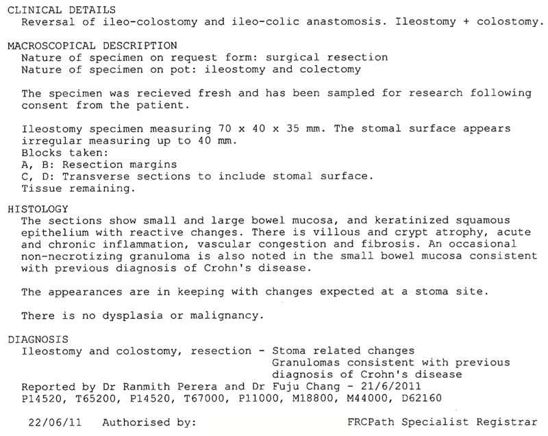 Pathology Report - 13th June 2011